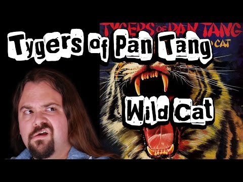 Pochette de Wild Cat